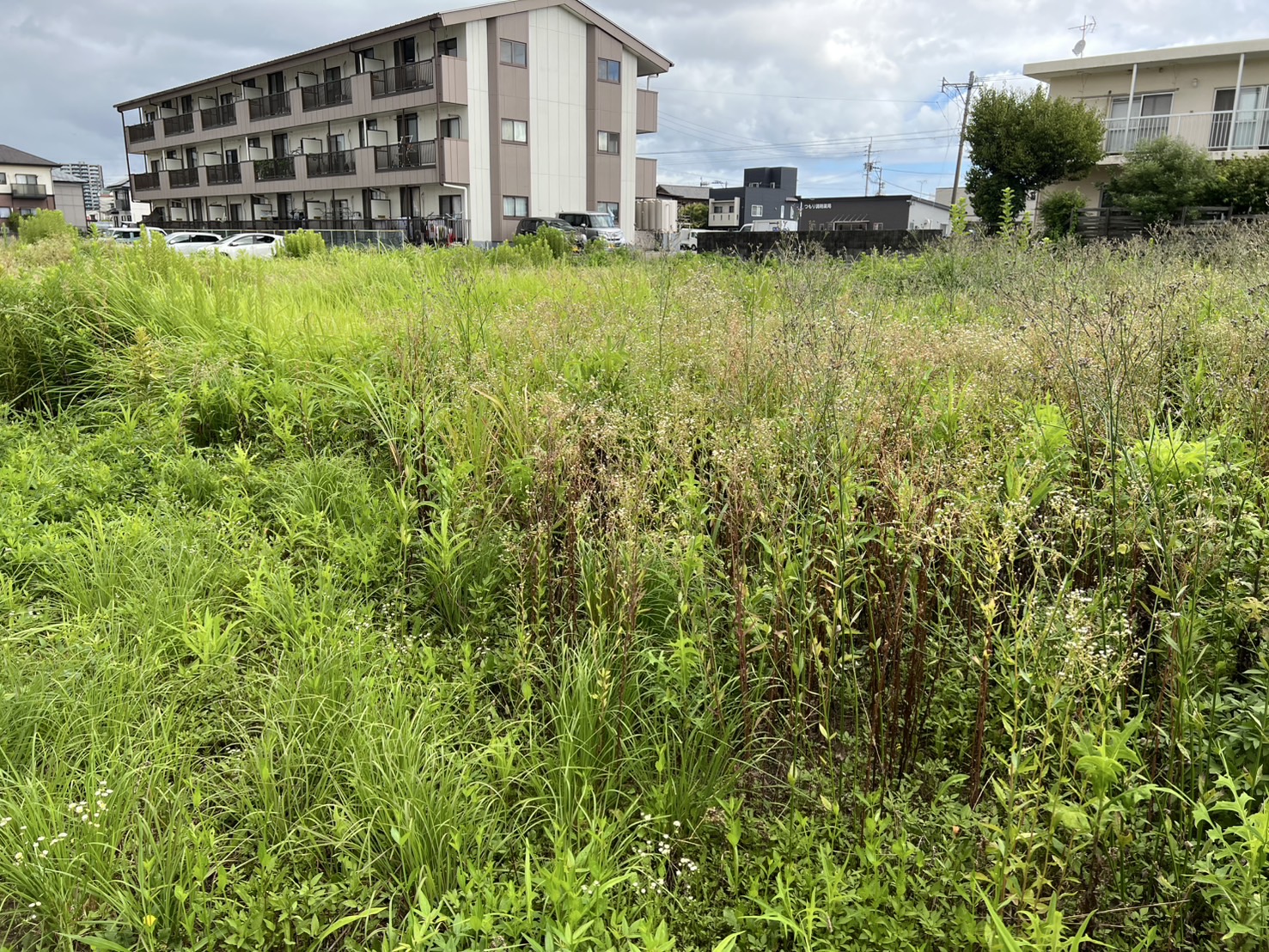ハンマーモアでバリバリ草刈り